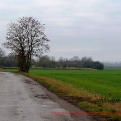 Schacht Hadmersleben